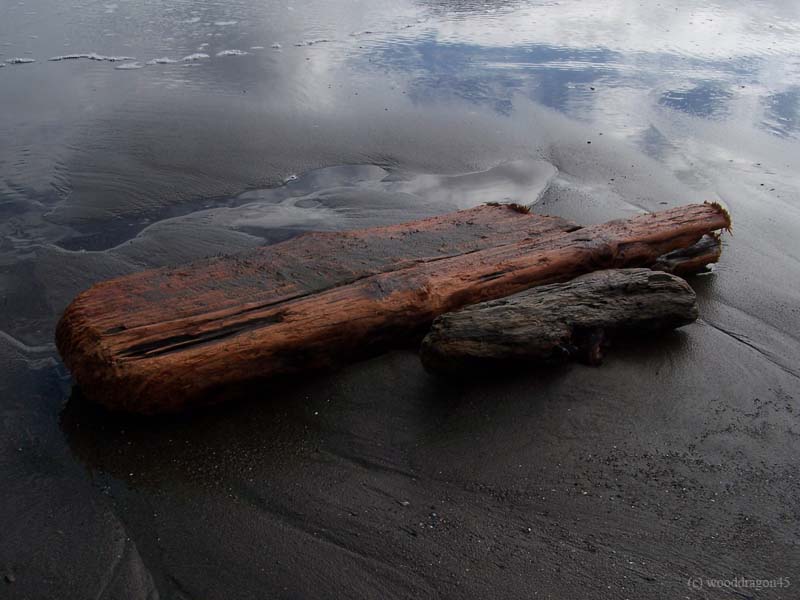 Driftwood