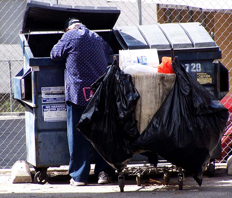 Dumpster Diver