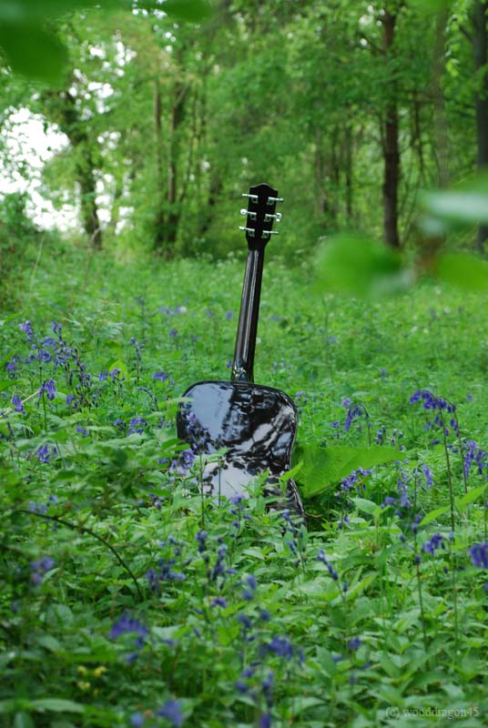 Guitar in Bluebells