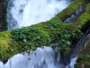 Roadside Waterfall