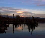 Sunset with logs